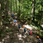 Group of school children walking in forest in one day excursion